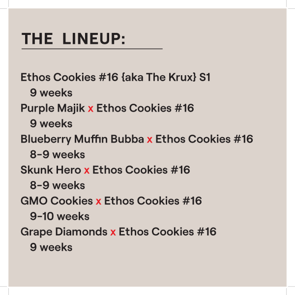 ETHOS COOKIES #16 AKA “THE KRUX” FEM MULTIPACK