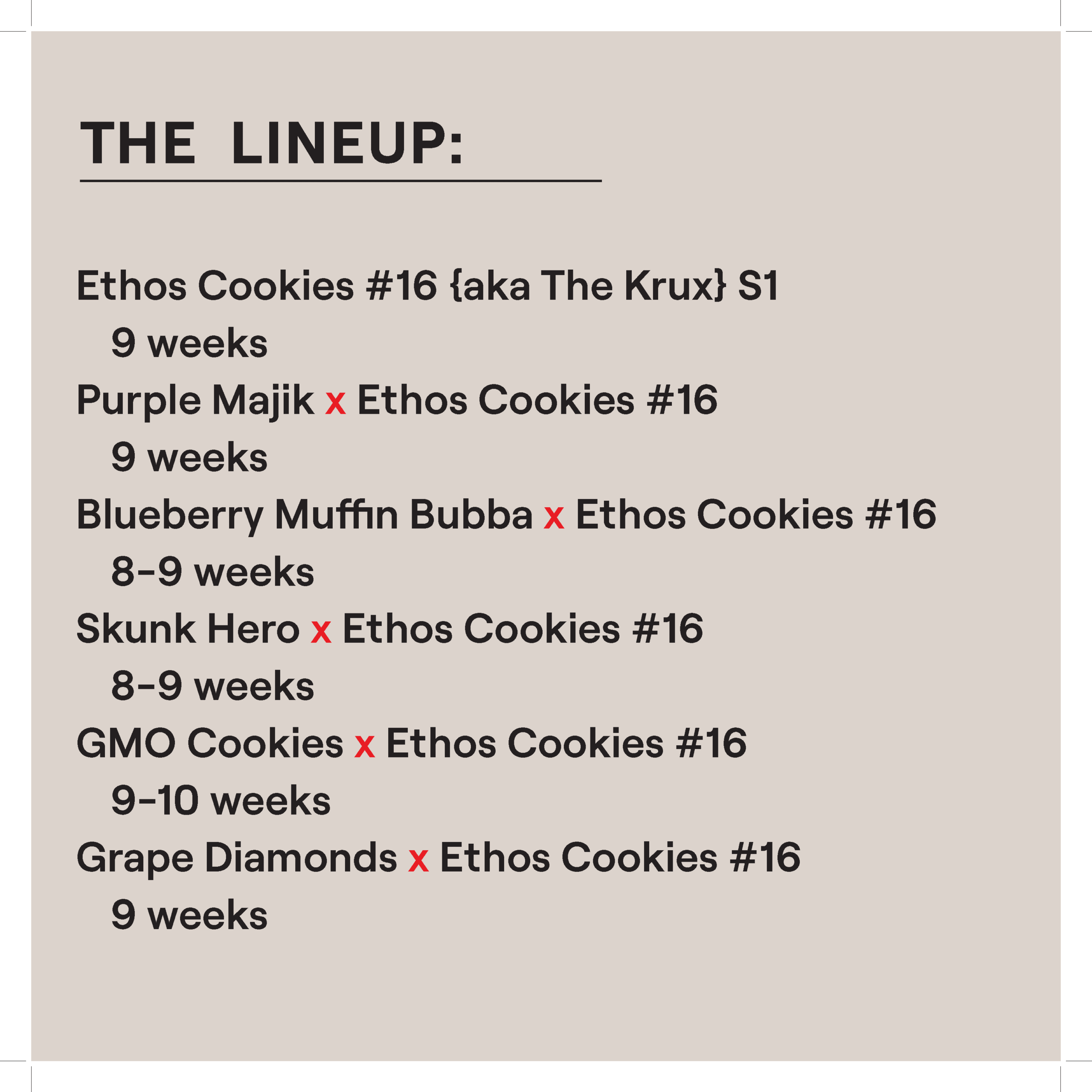 ETHOS COOKIES #16 AKA “THE KRUX” FEM MULTIPACK - Image 2