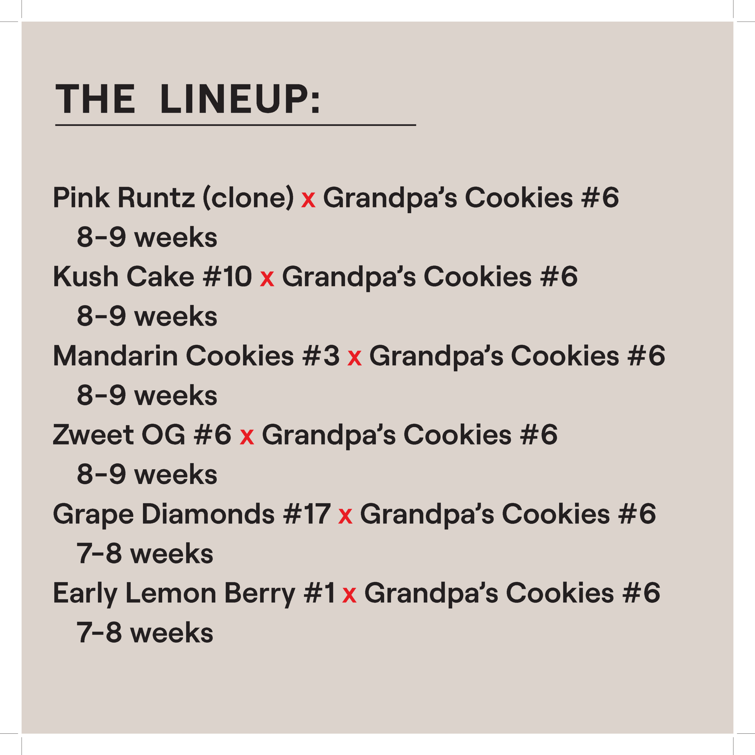 EARLY GIRLS FEM MULTIPACK - Image 2