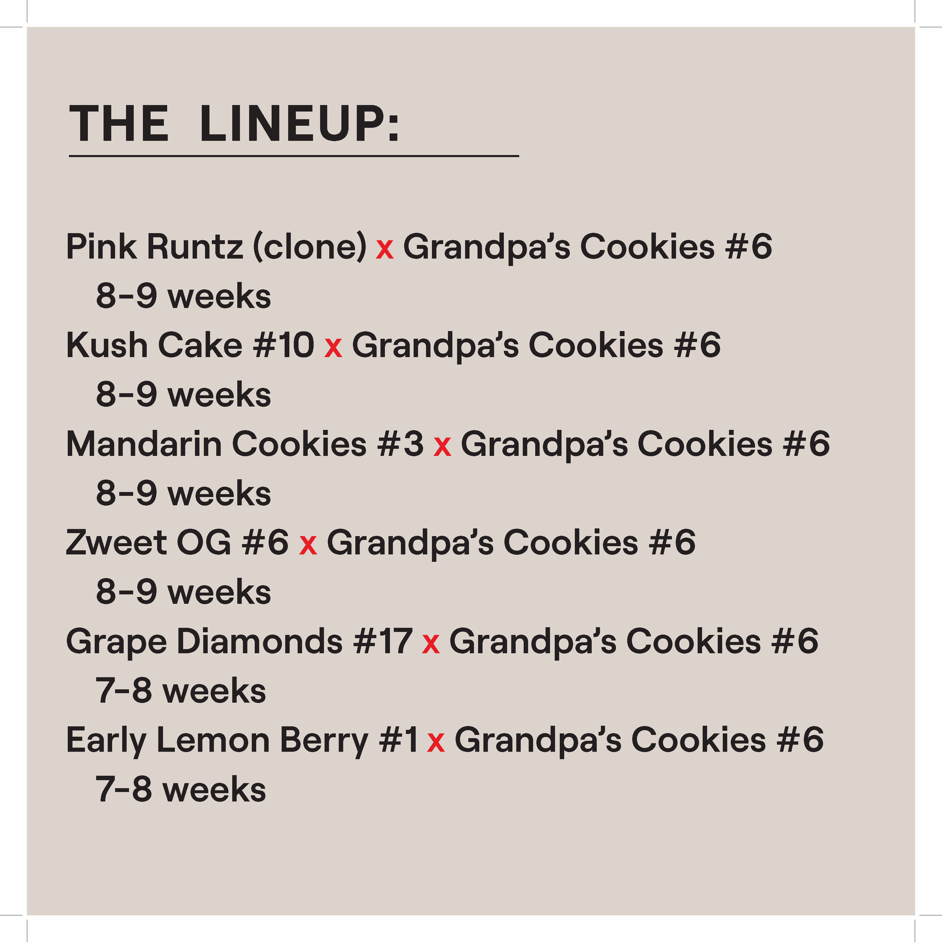 EARLY GIRLS FEM MULTIPACK - Image 2