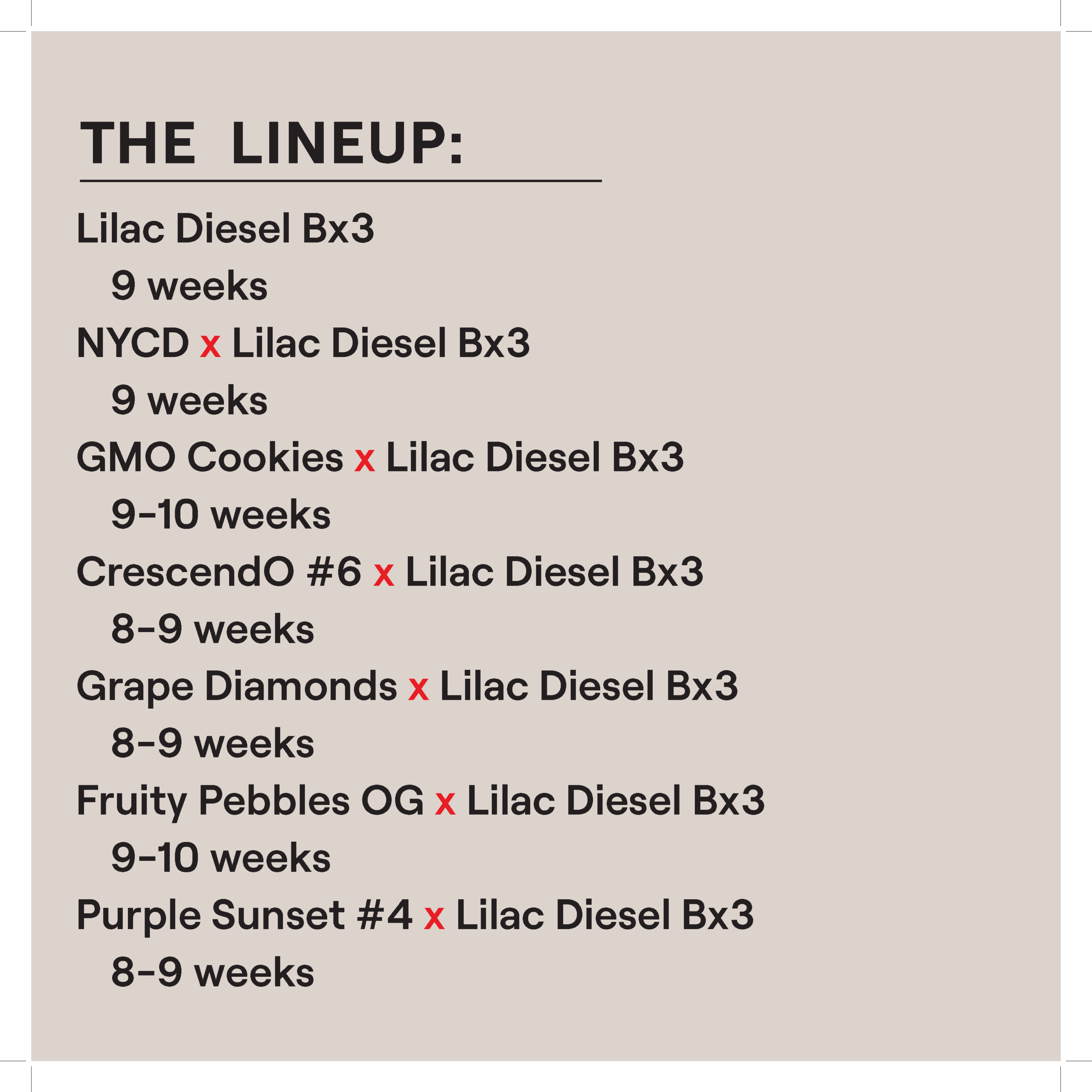LILAC DIESEL M/F MULTIPACK - Image 2