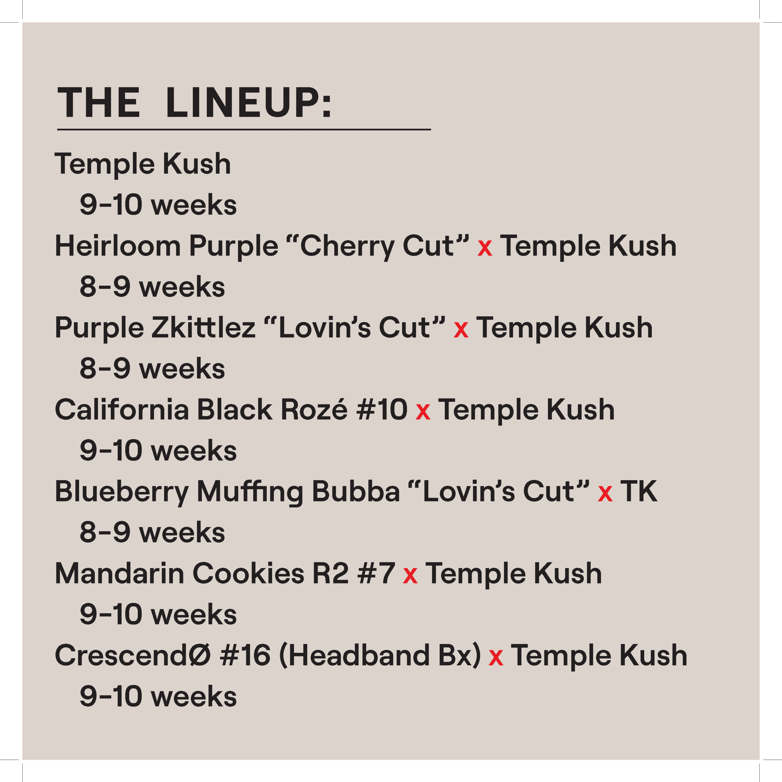 TEMPLE KUSH A LINE M/F MULTIPACK - Image 2