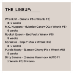 WRANK FEM MULTIPACK