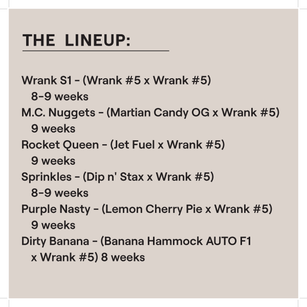 WRANK FEM MULTIPACK
