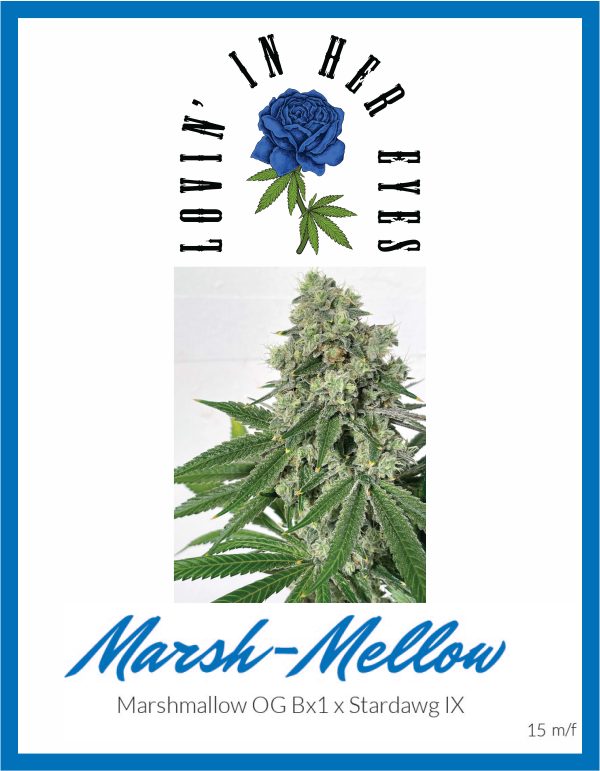 Marsh Mellow (LOVIN)