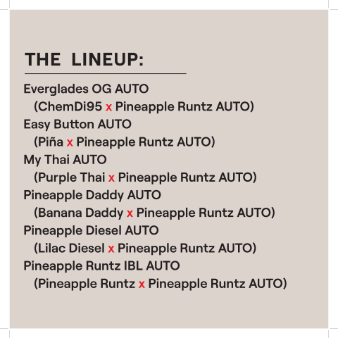 HV AUTO Multipack Lineup