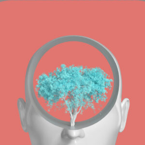 Colin's Pick: Fuego'Z (FEM)